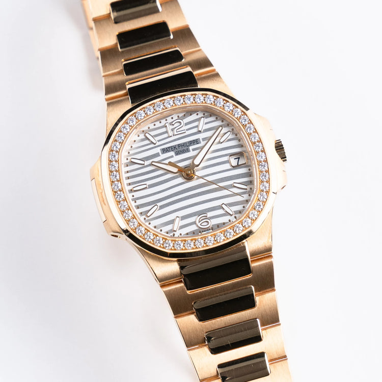 Nautilus &