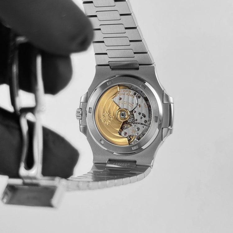 Nautilus &
