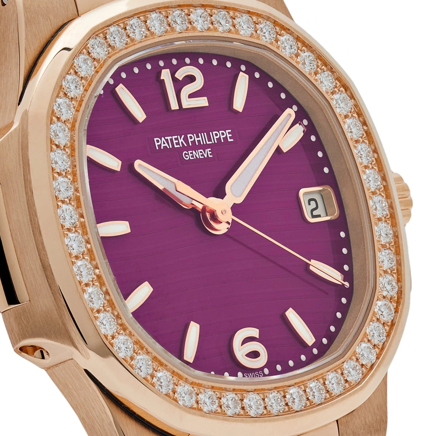 Nautilus &