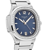 Nautilus &