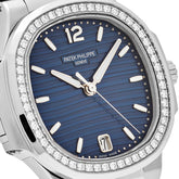 Nautilus &