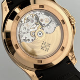 Aquanaut Rose Gold Brown Dial (2022) image 9