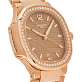 Nautilus &