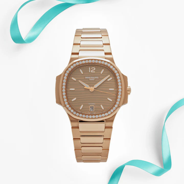 Nautilus &