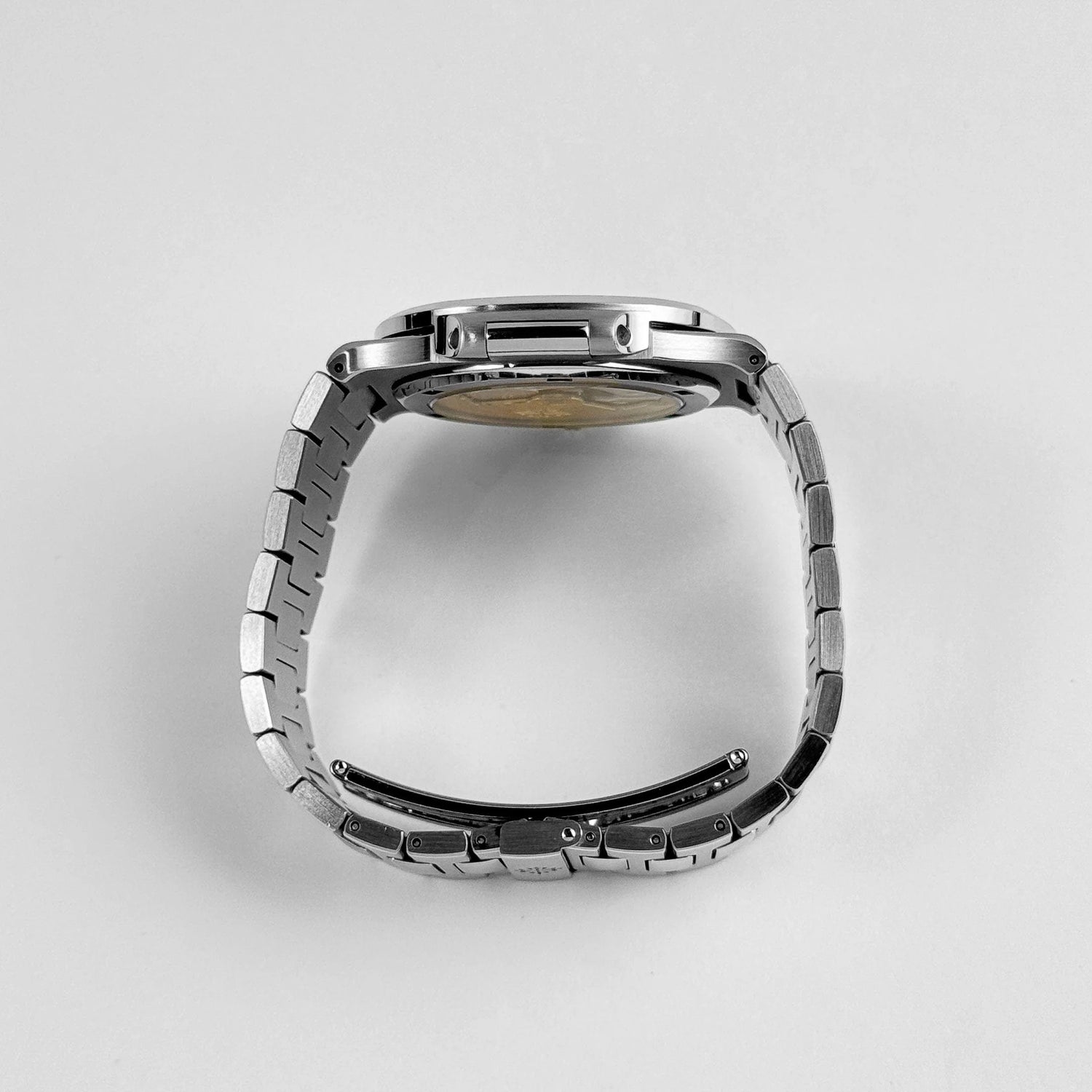 Nautilus &