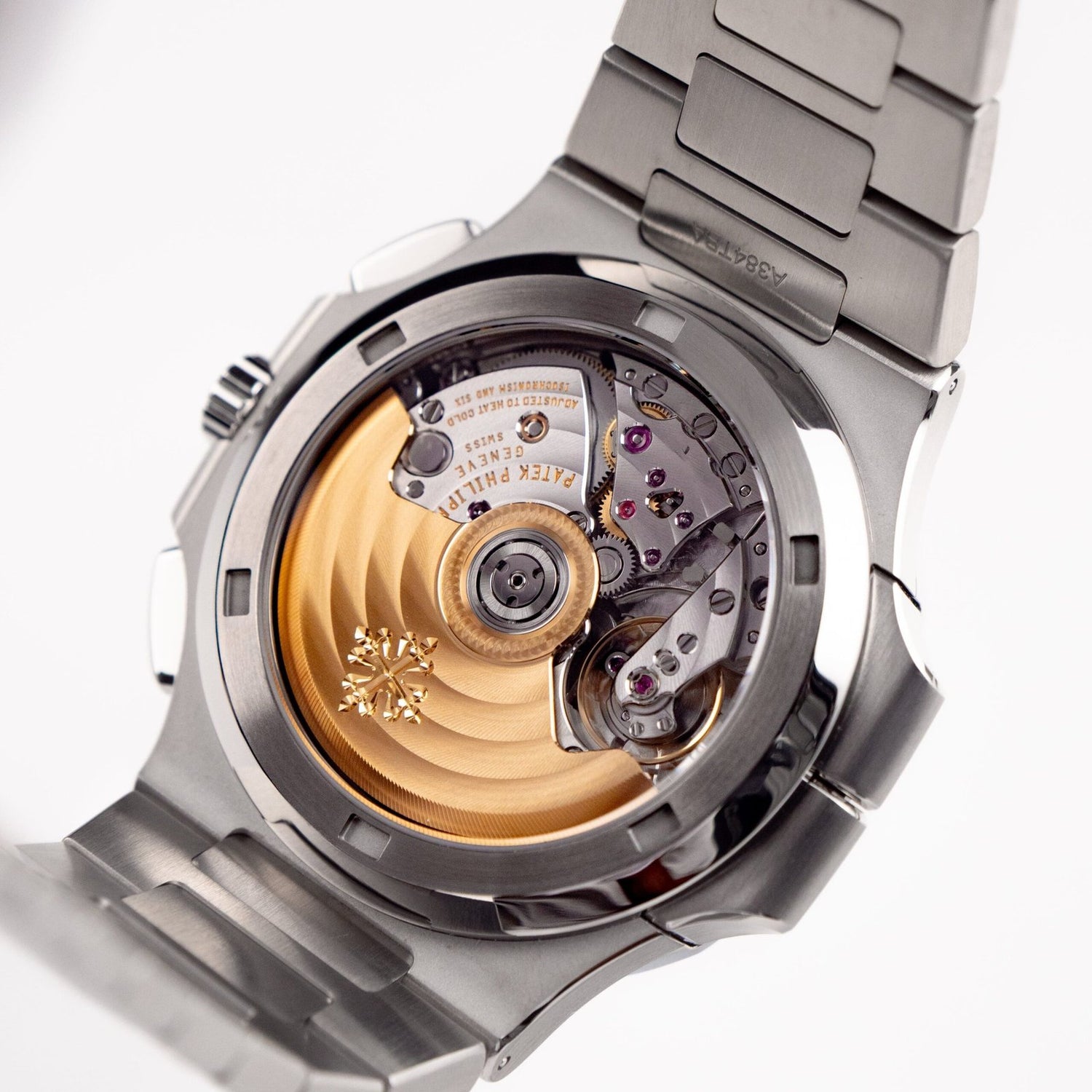 Nautilus &