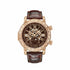 Grand Complications Skymoon Tourbillon Rose Gold image 0