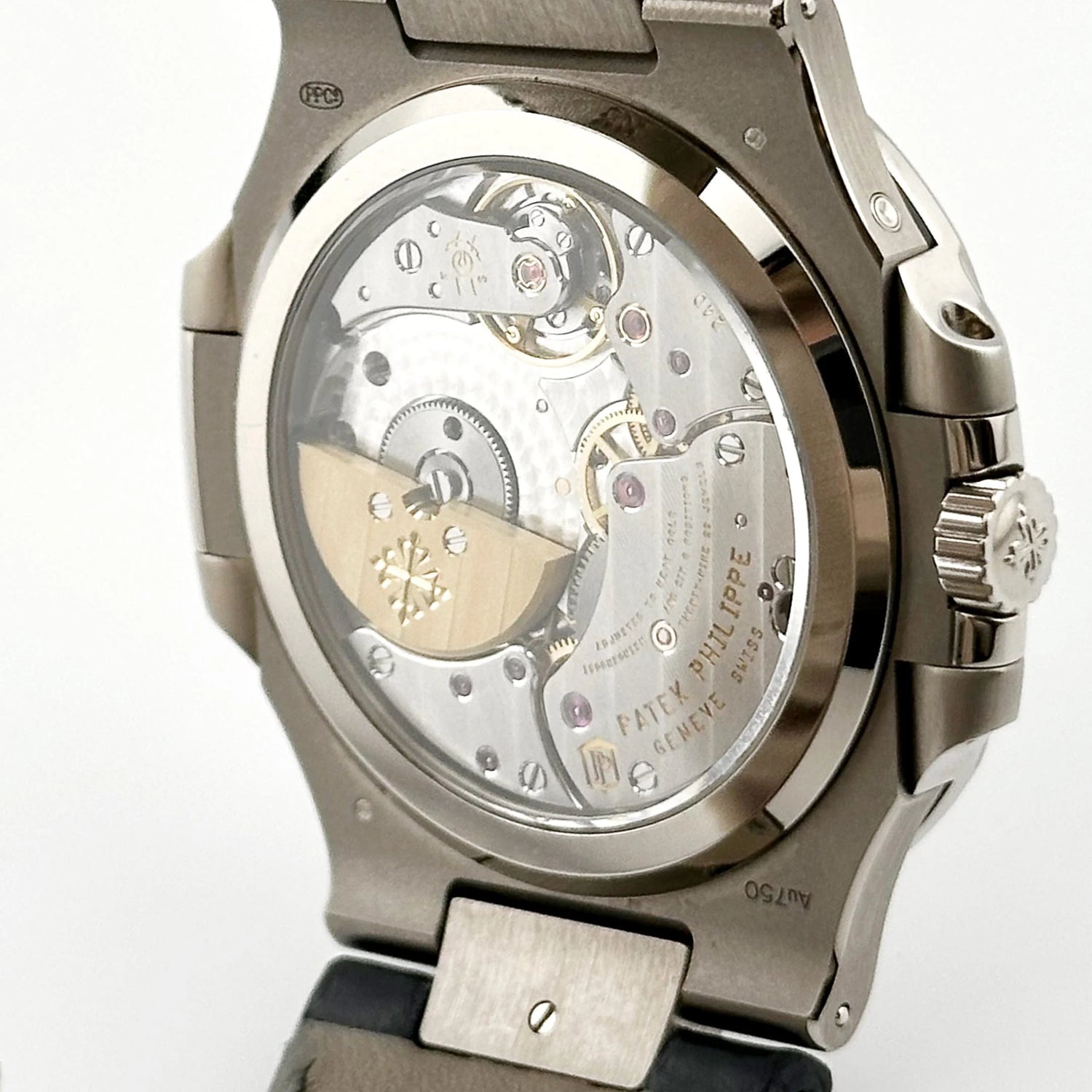 Nautilus &
