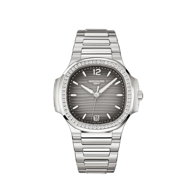 Nautilus &