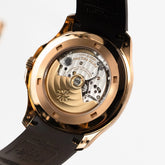 Aquanaut Rose Gold Brown Dial (2021) image 8
