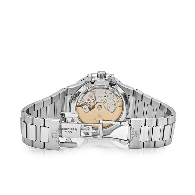 Nautilus &