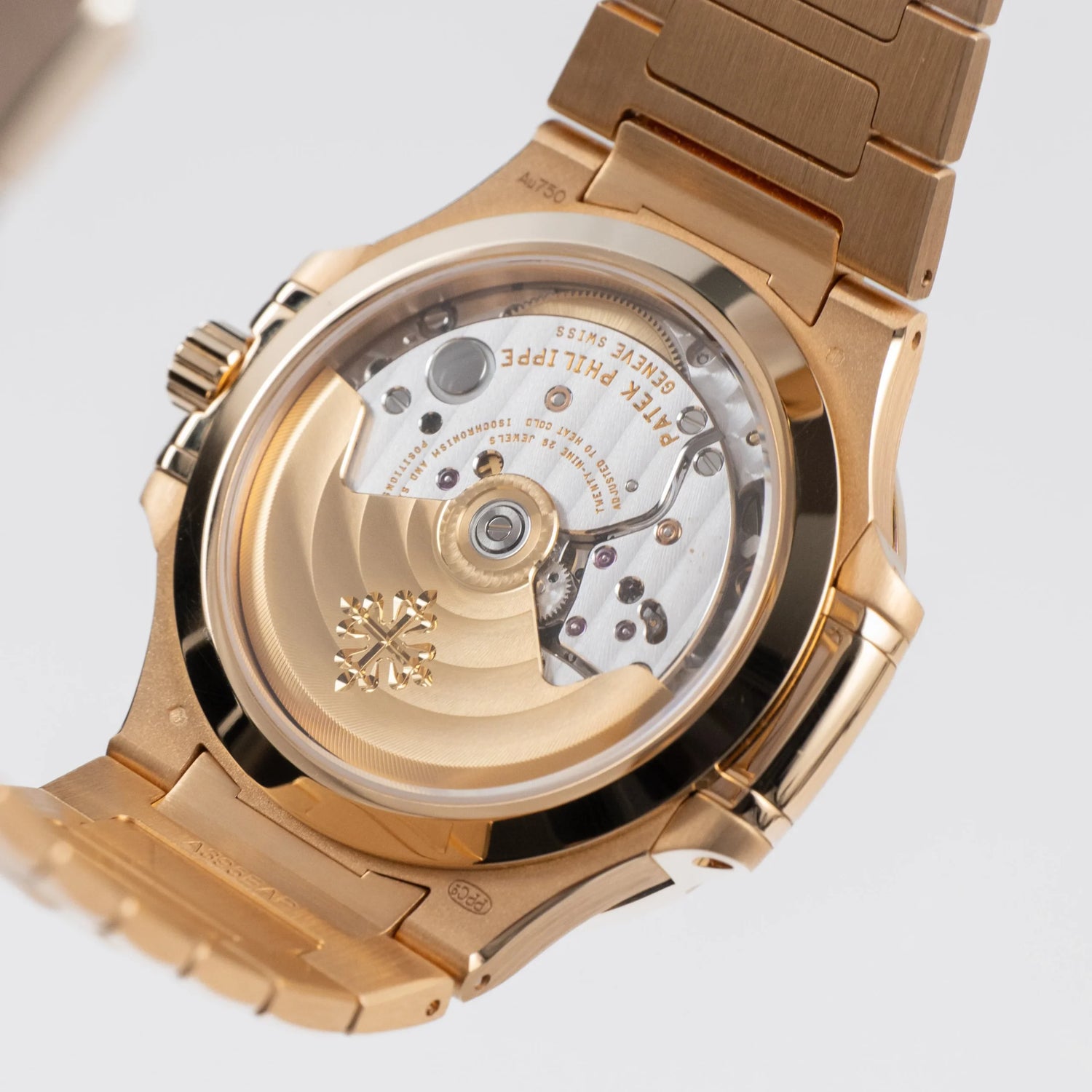 Nautilus &