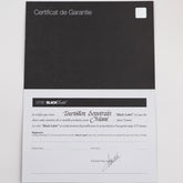 Tourbillon Souverain Vertical Ref. TV Black Dial (2022) image 10
