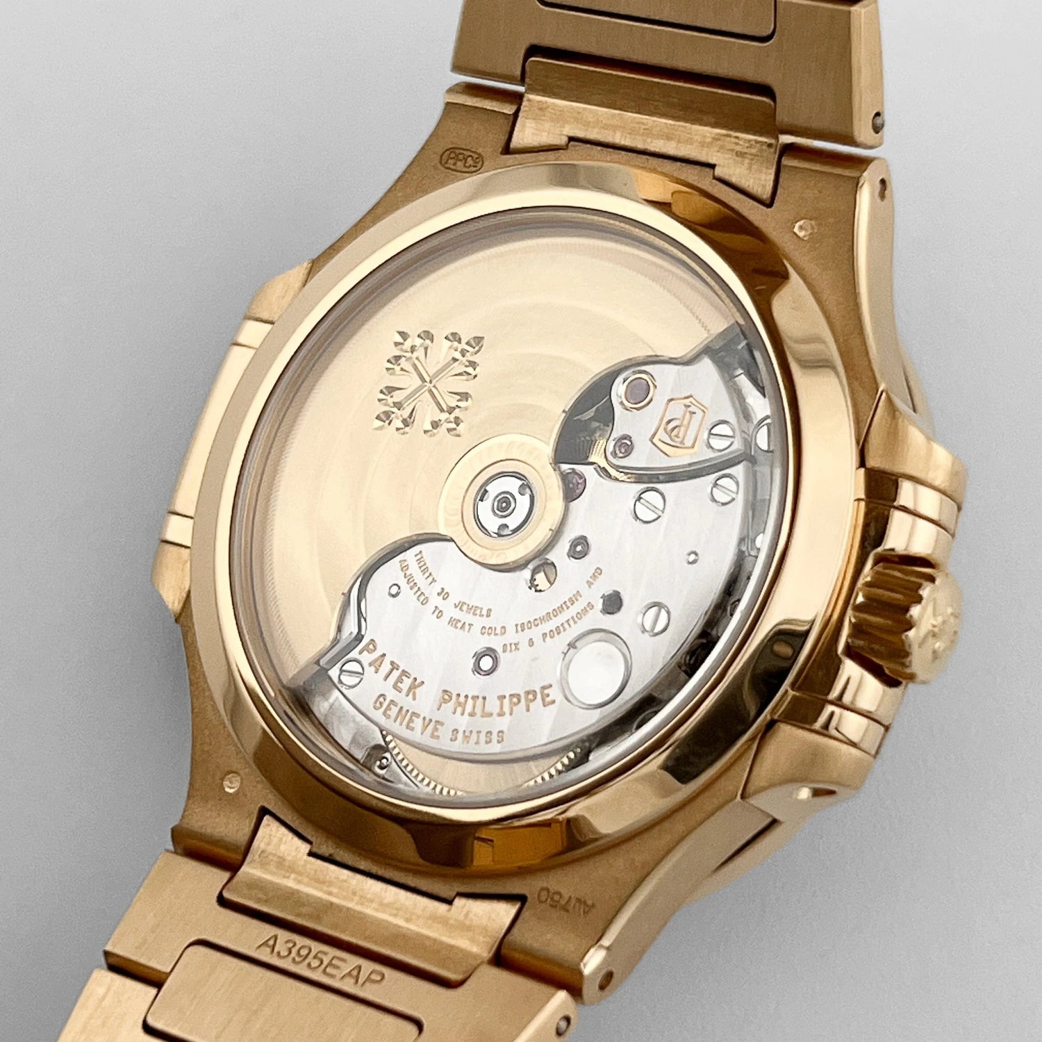 Nautilus &